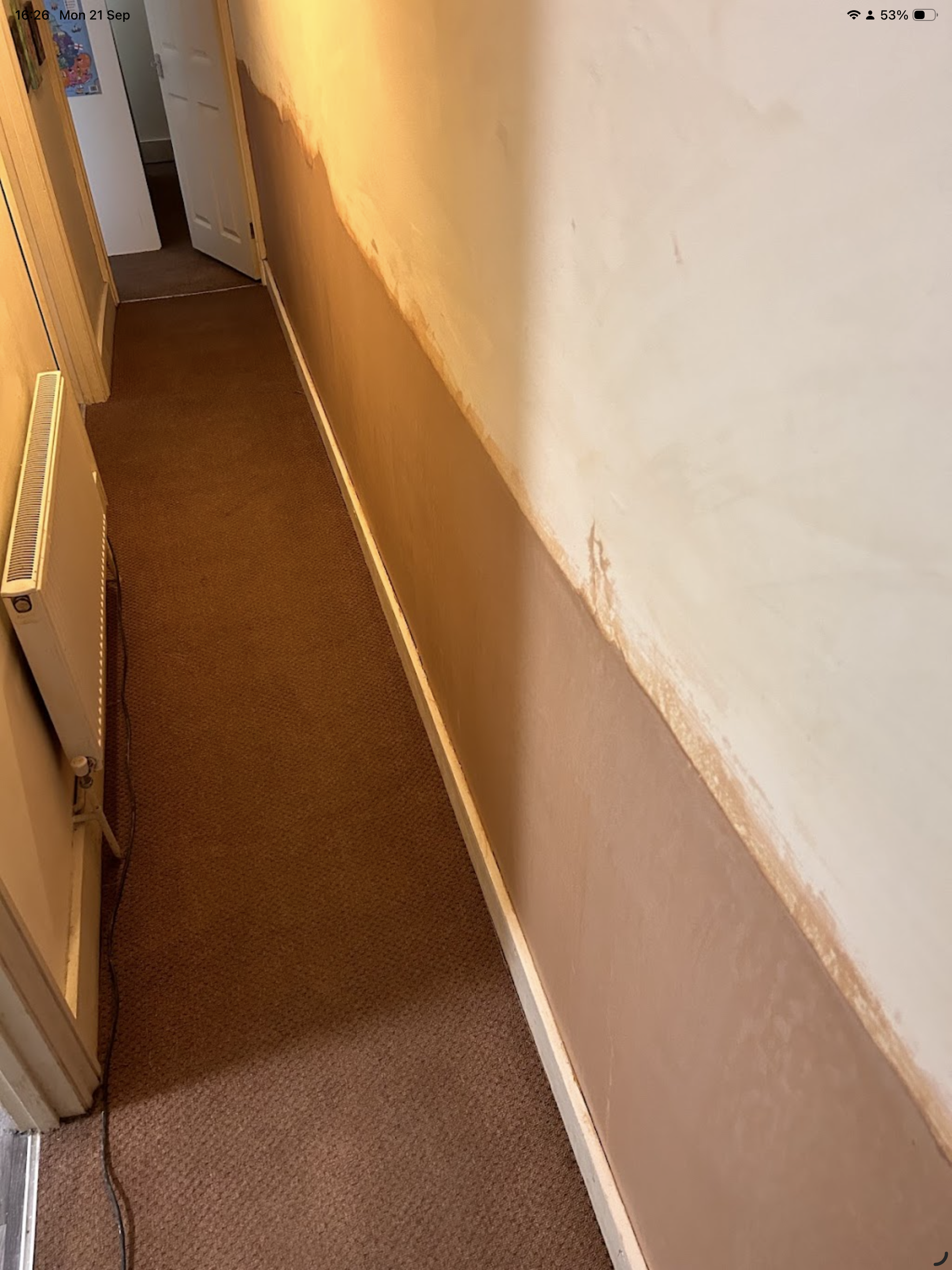 Rising Damp & Replaster in Colchester