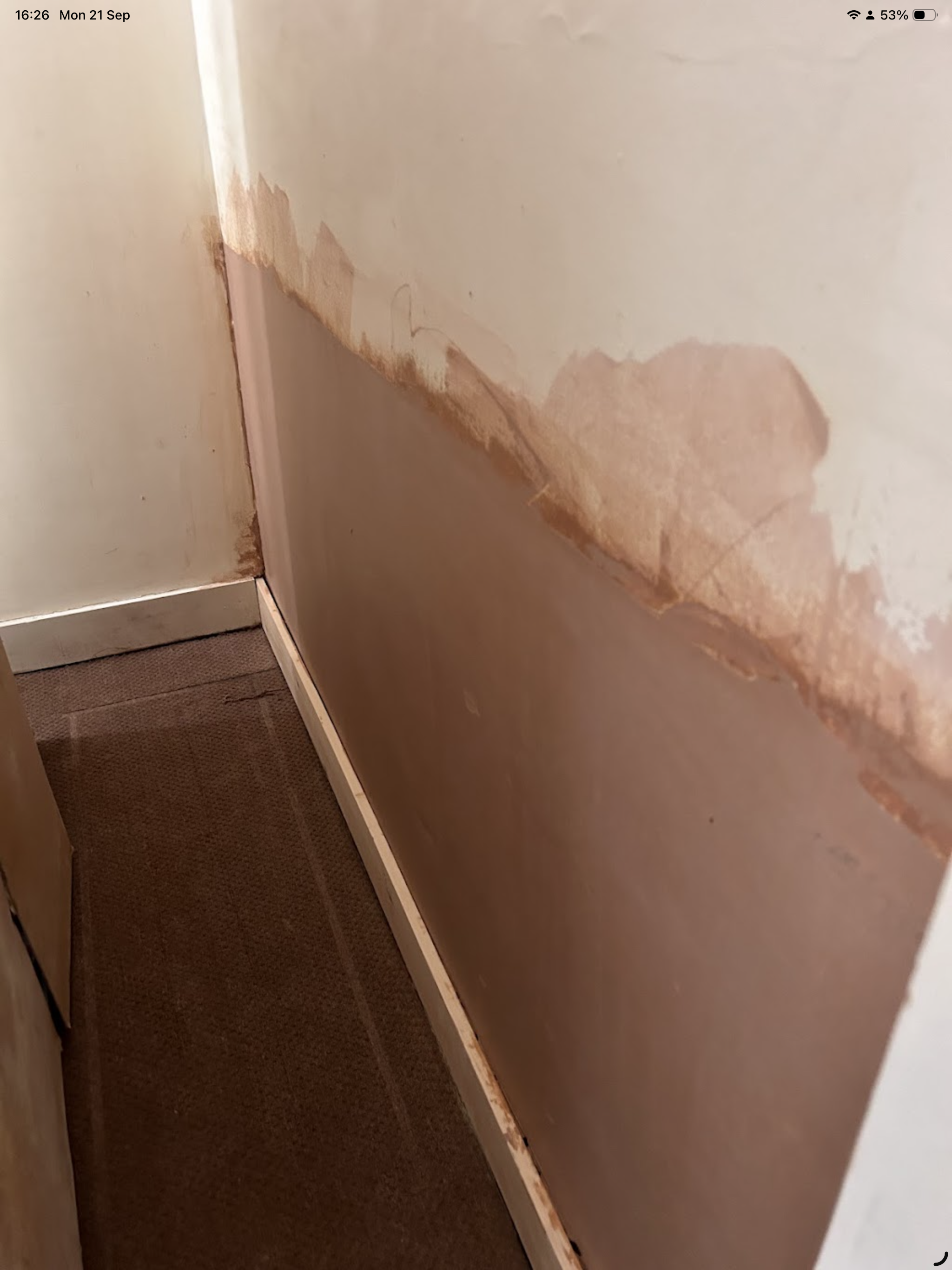 Penetrating Damp in Southend-on-Sea