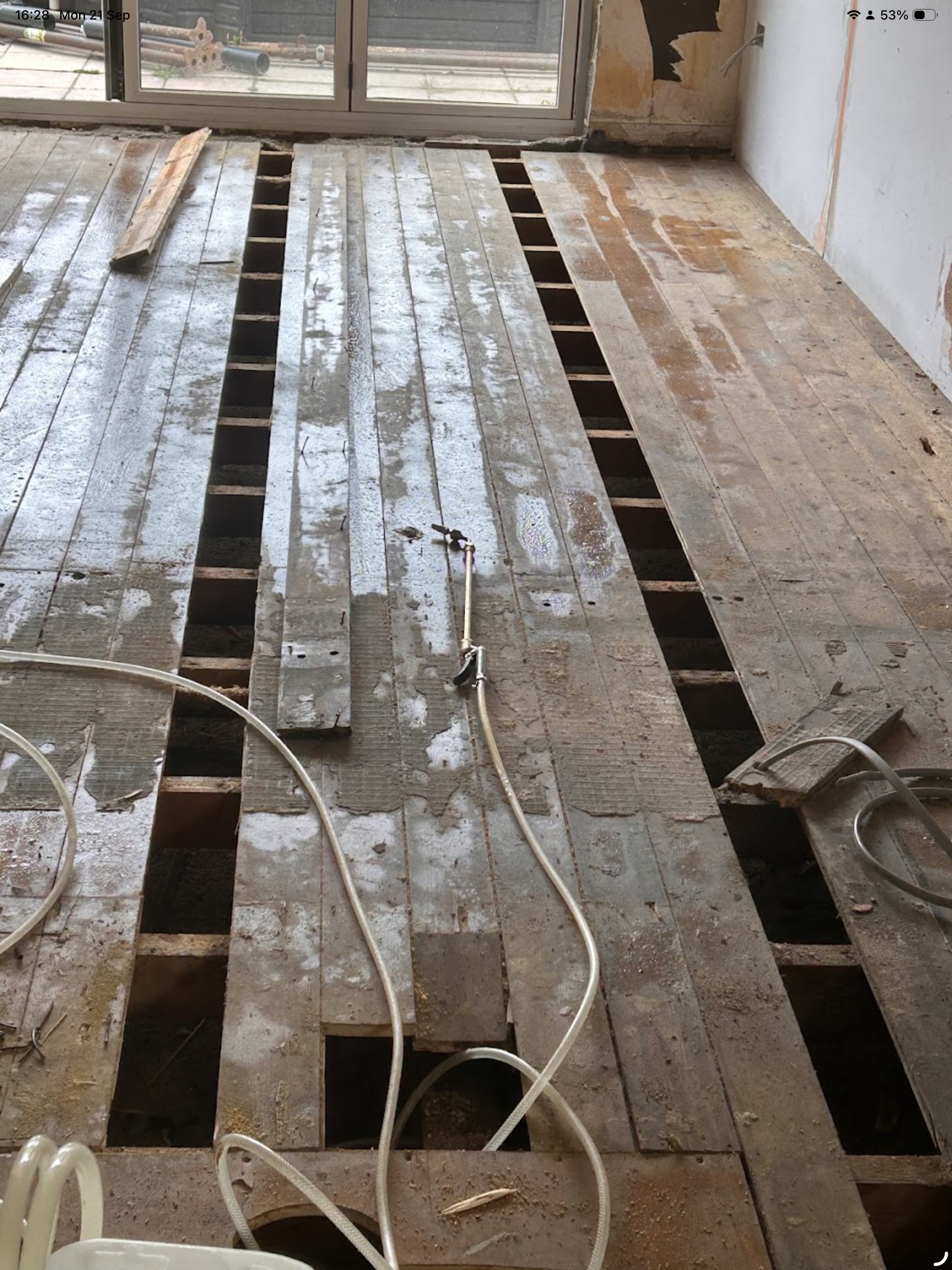 Dry Rot Treatment in Braintree