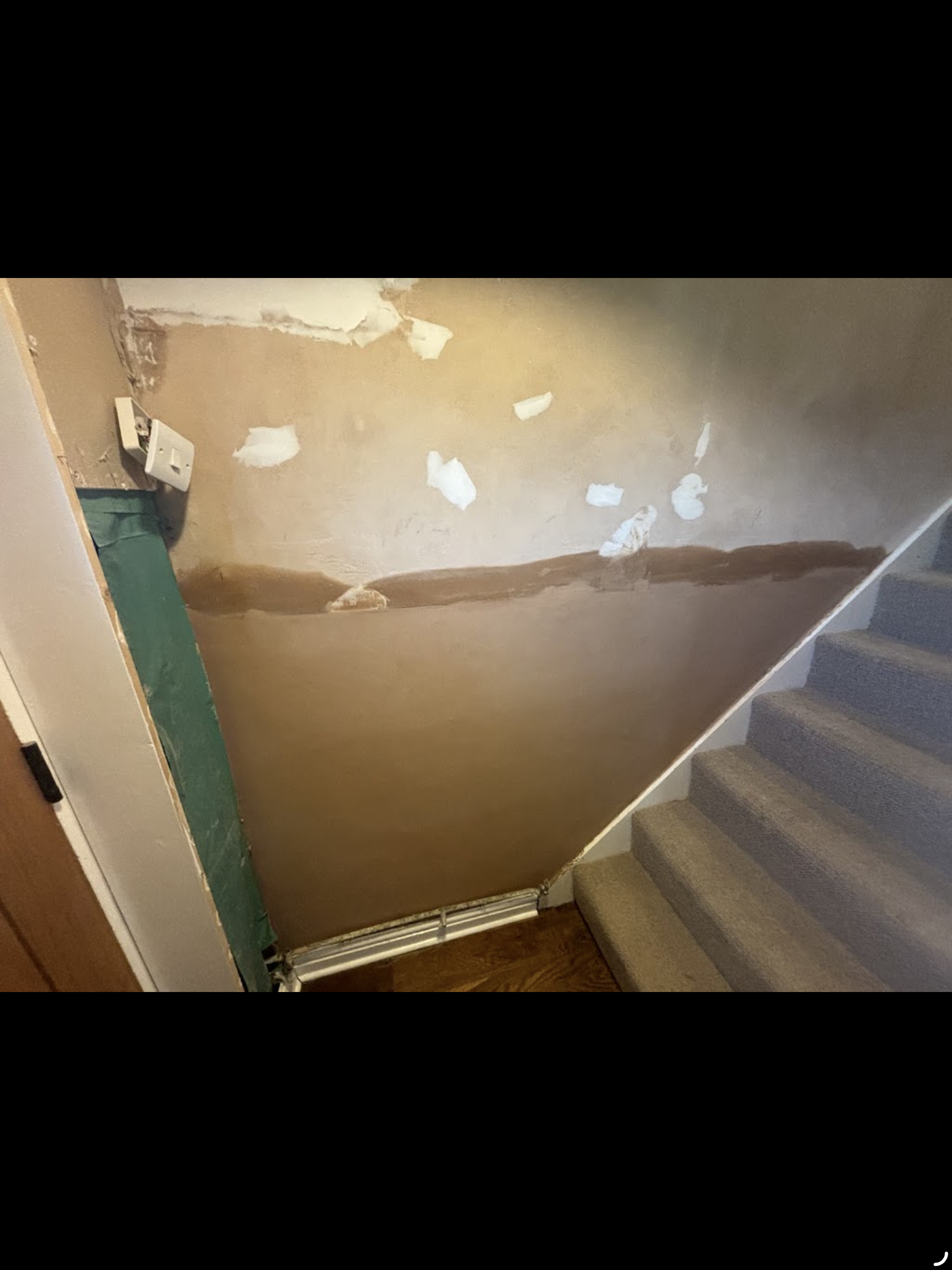 Woodworm Treatment in Bury St Edmunds