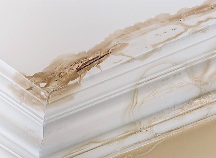 Penetrating damp staining on a ceiling